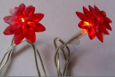 LED圣诞小led灯球泡灯的花朵 LED廉价圣诞小LED灯球泡灯的花朵 LED灯串与成套装备