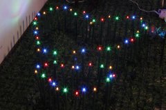 FY-50024 LED圣诞枝树小led灯球泡灯 FY-50024 LED廉价圣诞枝树小的LED灯球泡灯